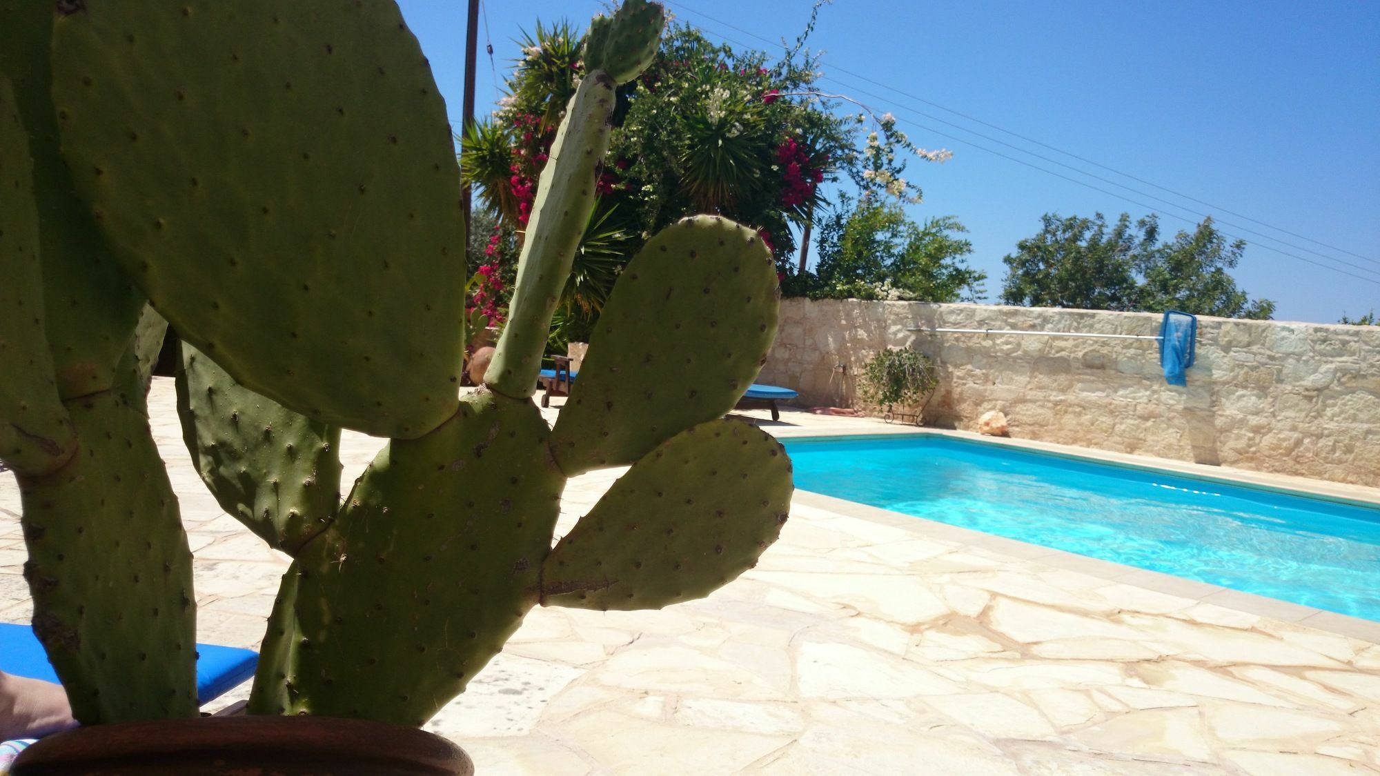 Prickly Pear Apartment Polis